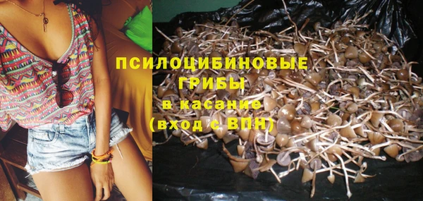 гашик Абаза
