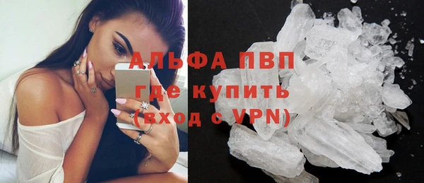 гашик Абаза