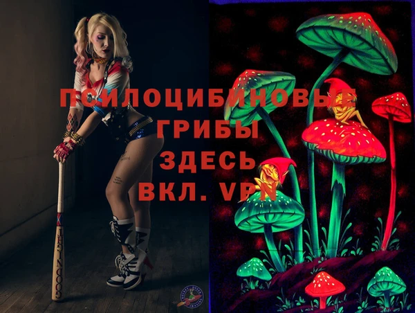 гашик Абаза